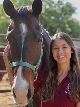 phd scholarship in veterinary medicine